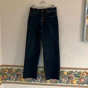 Goodthreads High Rise Button Fly Wide Leg Jeans, Size 24/0, Dark Blue Denim